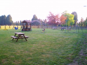 Play Area